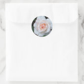 Bleke roze rosebud op zwarte achtergrond ronde sticker (Tas)