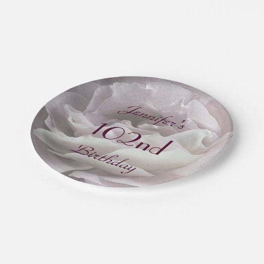 Bleke roze roze Borden, 102e verjaardag Papieren Bordje (Gekanteld)