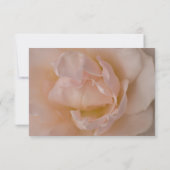 Bleke roze roze oranje bruinbruin RSVP-reactieverm RSVP Kaartje (Achterkant)