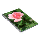 Bleke roze roze roos notitieboek (Rechterzijde)