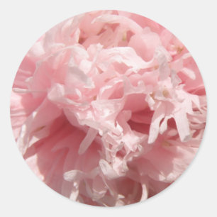 Bleke roze roze roze stickers