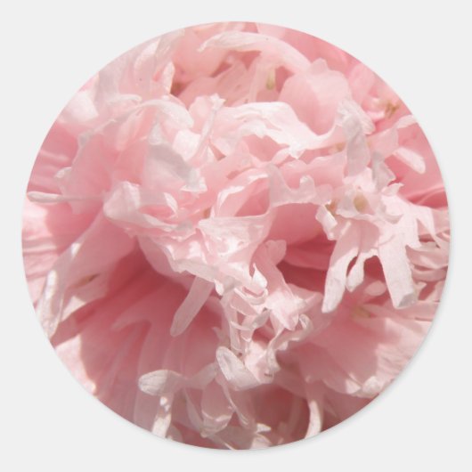  Bleke roze roze roze stickers (Voorkant)
