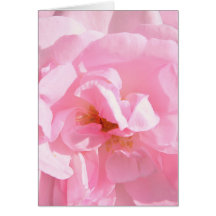 bleke roze rozenblaadjes