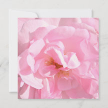 bleke roze rozenblaadjes
