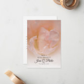 Bleke roze rozenbloem Deel een geheugenbegrafenis Notitiekaartje (Voorkant / Achterkant in situ)