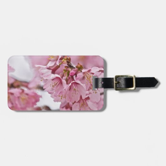 Bleke Roze Sakura Kersenbloesem Bagagelabel (Voorkant horizontaal)