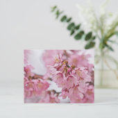 Bleke Roze Sakura Kersenbloesem Briefkaart (Staand voorkant)