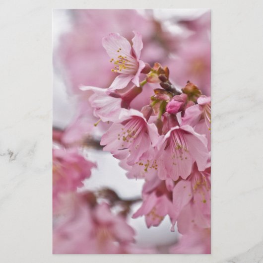 Bleke Roze Sakura Kersenbloesem Briefpapier (Voorkant)