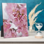 Bleke Roze Sakura Kersenbloesem Fotoplaat (Zijkant)