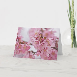 Bleke Roze Sakura Kersenbloesem Kaart