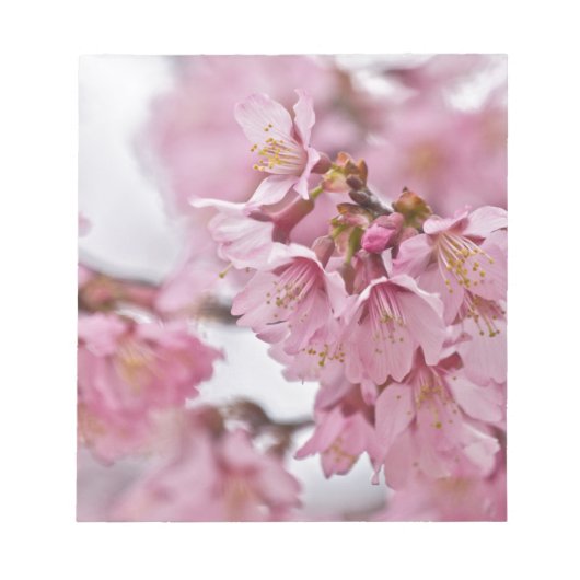 Bleke Roze Sakura Kersenbloesem Notitieblok (Voorkant)