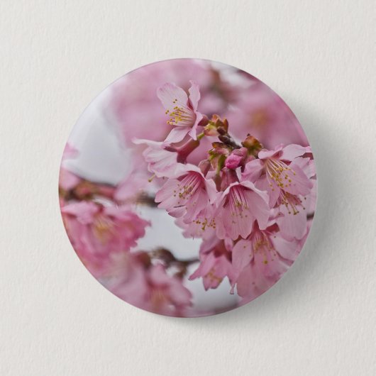 Bleke Roze Sakura Kersenbloesem Ronde Button 5,7 Cm (Voorkant)