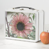 Bleke roze zonnebloem (In situ)