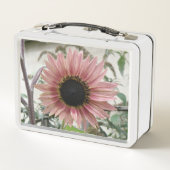 Bleke roze zonnebloem (Achterkant)