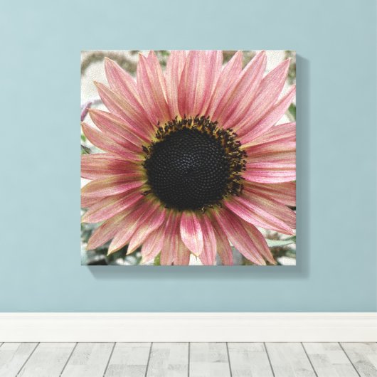 Bleke roze zonnebloem canvas afdruk (Insitu (Houten vloer))