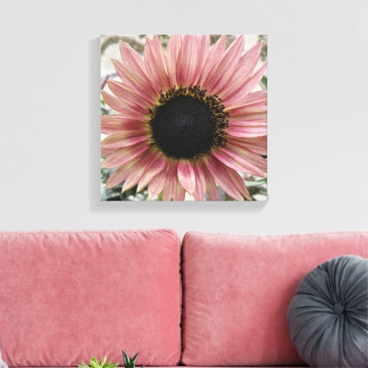 Bleke roze zonnebloem canvas afdruk (Insitu (Woonkamer))