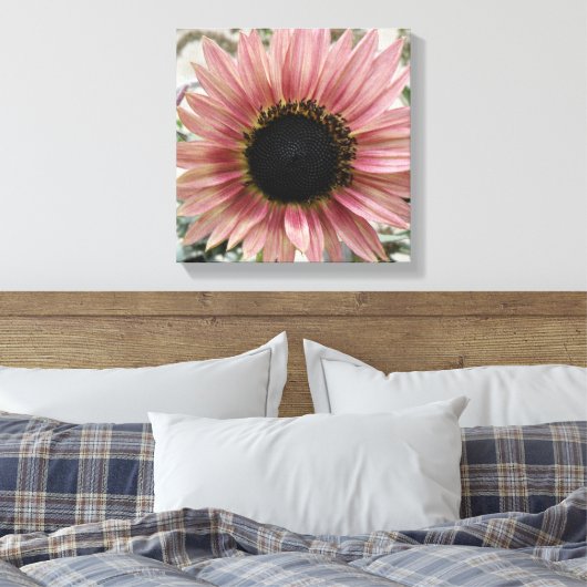 Bleke roze zonnebloem canvas afdruk (Insitu (Slaapkamer))