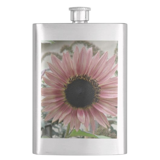 Bleke roze zonnebloem flacon (Voorkant)