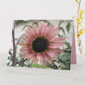 Bleke Roze Zonnebloem Get Well Soon Big Custom Kaart (Gele Bloem)
