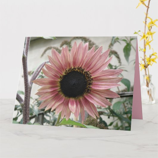 Bleke Roze Zonnebloem Get Well Soon Big Custom Kaart (Gele Bloem)