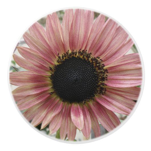 Bleke roze zonnebloem keramische knop (Voorkant)