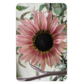 Bleke roze zonnebloem magneet (Verticaal)