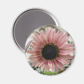 Bleke roze zonnebloem magneet (Voorkant / Achterkant)
