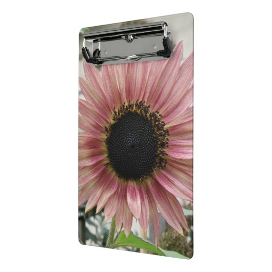 Bleke roze zonnebloem mini klembord (Angled2)