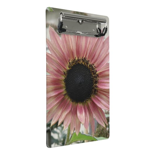 Bleke roze zonnebloem mini klembord (Schuin)