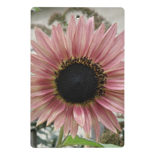 Bleke roze zonnebloem mini klembord (Achterkant)