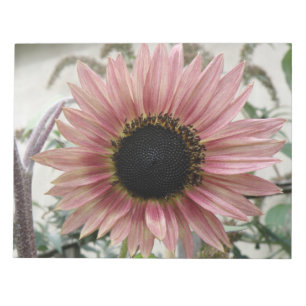 Bleke roze zonnebloem notitieblok