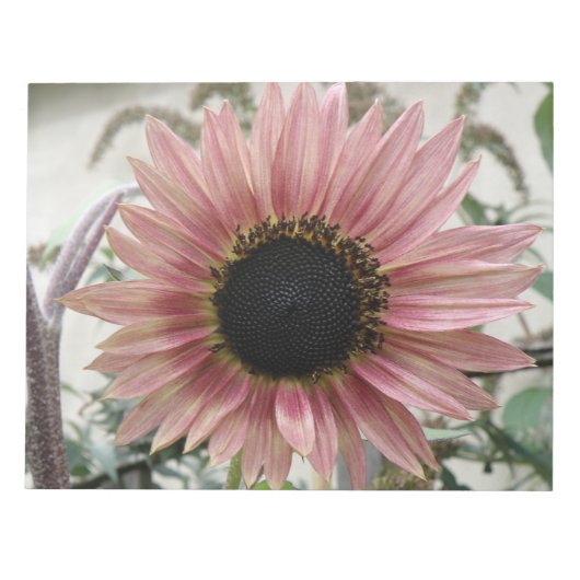 Bleke roze zonnebloem notitieblok (Voorkant)