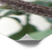 Bleke roze zonnebloem poster (Hoek)