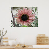 Bleke roze zonnebloem poster (Keuken)