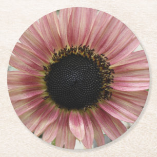 Bleke roze zonnebloem ronde kartonnen onderzetter