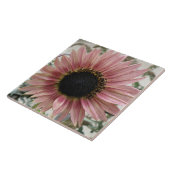 Bleke roze zonnebloem tegeltje (Zijkant)