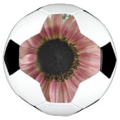 Bleke roze zonnebloem voetbal (Gedraaid)