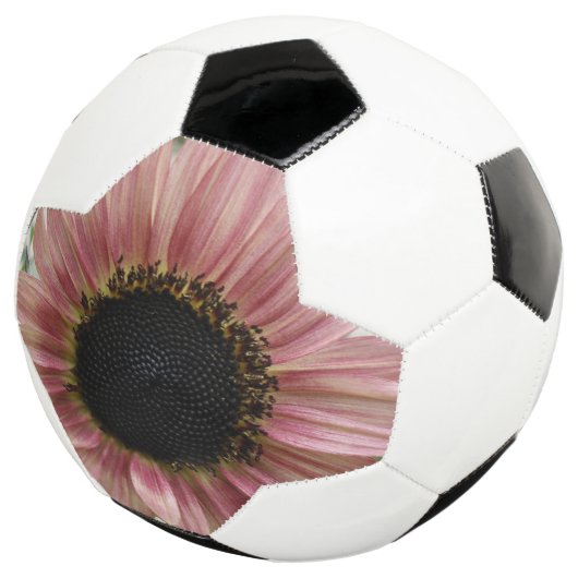 Bleke roze zonnebloem voetbal (Drie kwart)