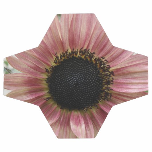 Bleke roze zonnebloem voetbal (Enkel)