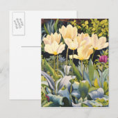 Bleke Tulpen Briefkaart (Voorkant / Achterkant)