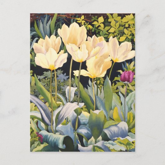 Bleke Tulpen Briefkaart (Voorkant)