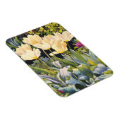 Bleke Tulpen Magneet (Rechterzijde)