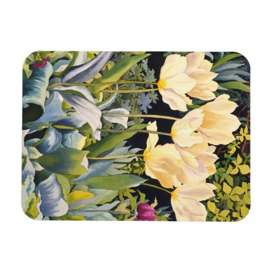 Bleke Tulpen Magneet (Horizontaal)