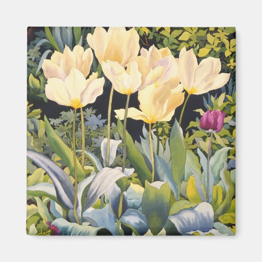 Bleke Tulpen Magneet (Voorkant)