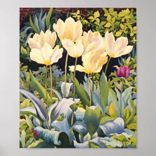 Bleke Tulpen Poster (Voorkant)
