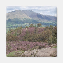Blencathra magneet