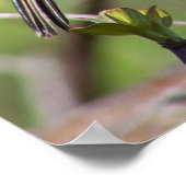 Blending In Poster (Hoek)