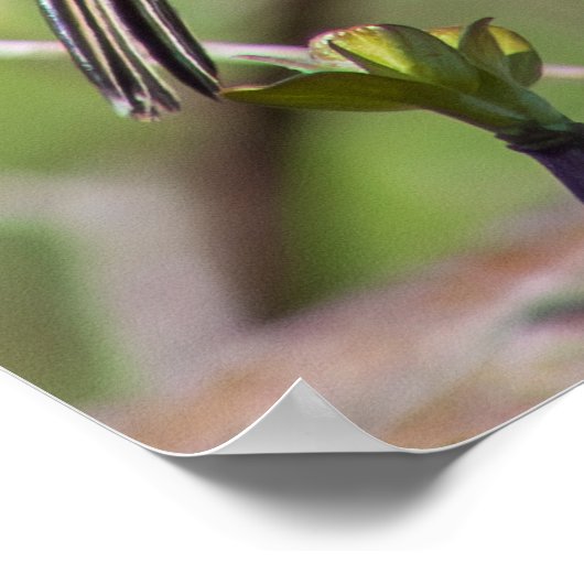 Blending In Poster (Hoek)