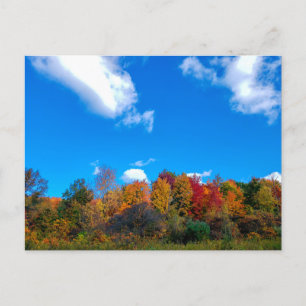 Blendon Bossen Metro Park in Herfsten, Columbus, O Briefkaart