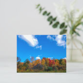 Blendon Bossen Metro Park in Herfsten, Columbus, O Briefkaart (Staand voorkant)